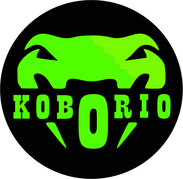 KOBORIO INC